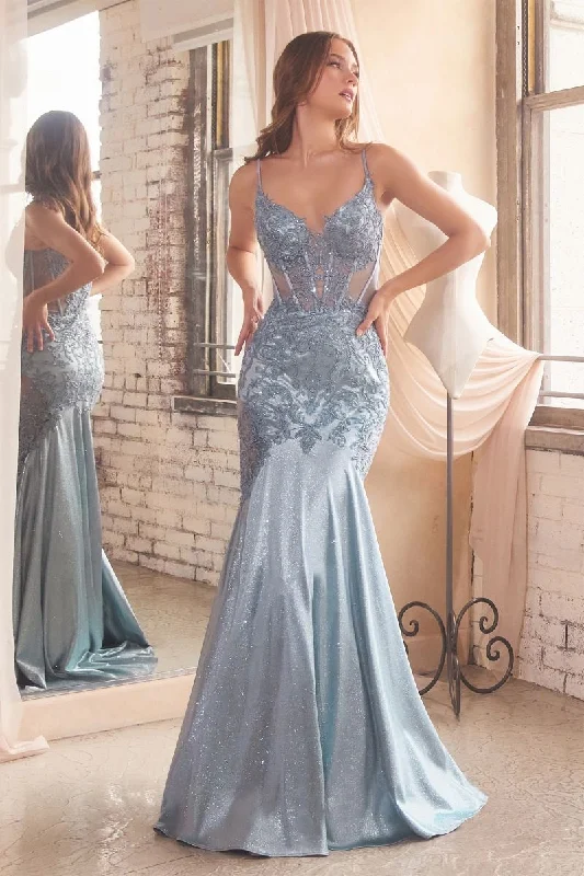 Dainty Chiffon Dress CDS470